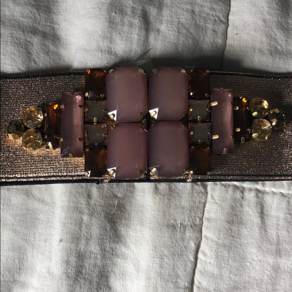 Anthropology belt